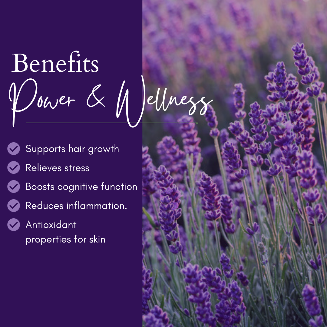 Lavender Essential Oil