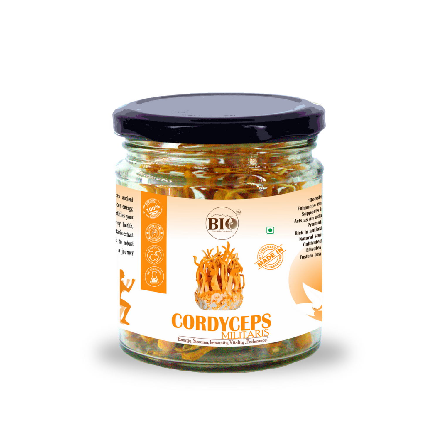 Cordycep Mushrooms